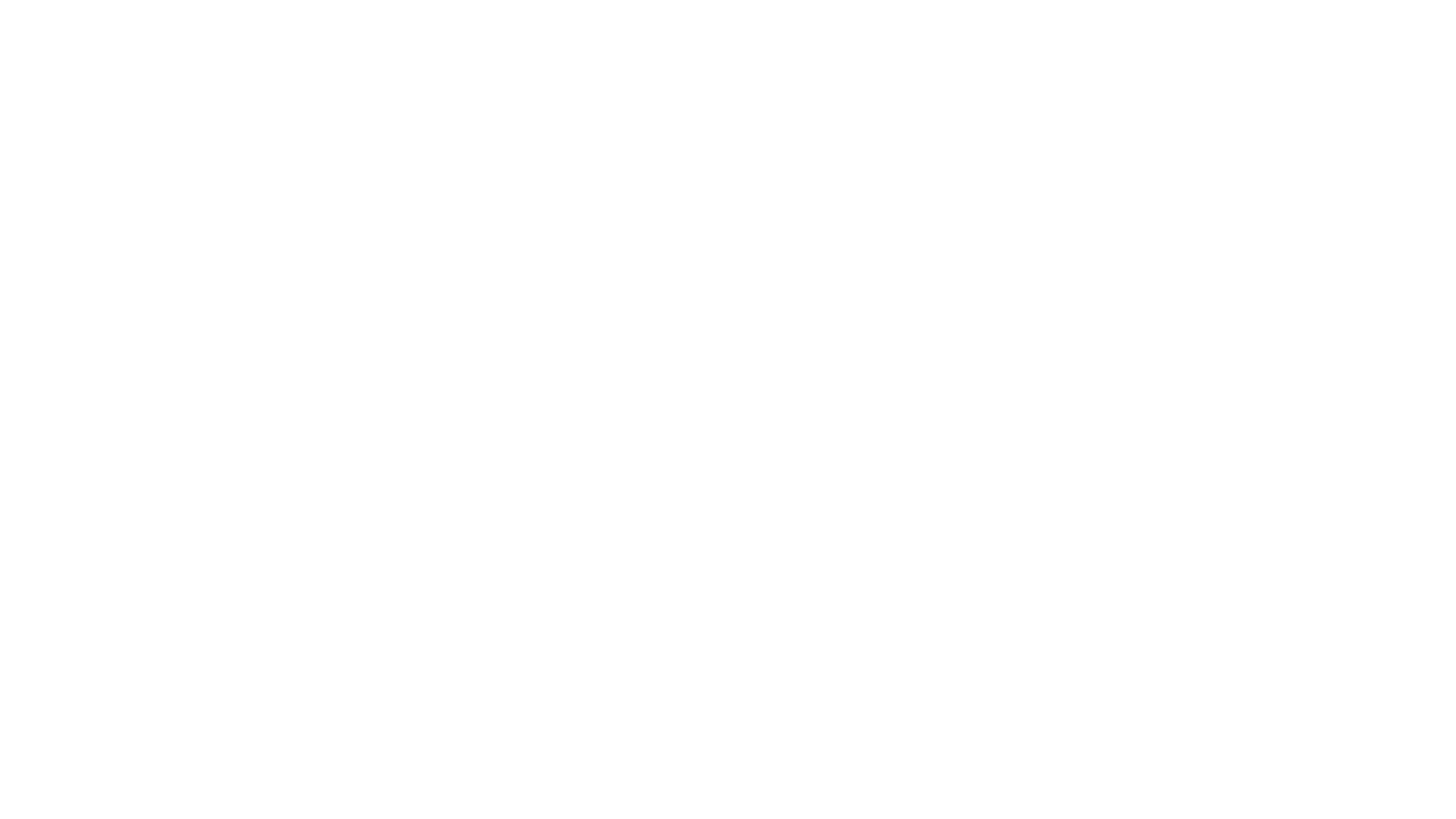 MS Global Inspections